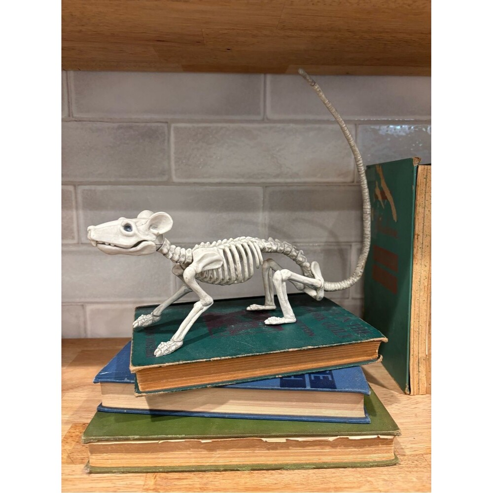 White Skeleton Mouse Rat Halloween Decor Skeletron